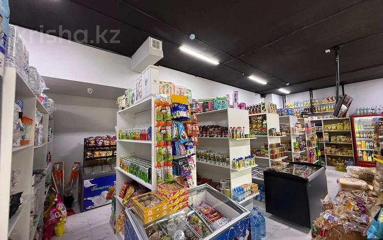 Еркін, дүкендер мен бутиктер, сұлулық салондары · 110 м², бағасы: 66 млн ₸ в Астане, Сарайшык р-н — фото 5