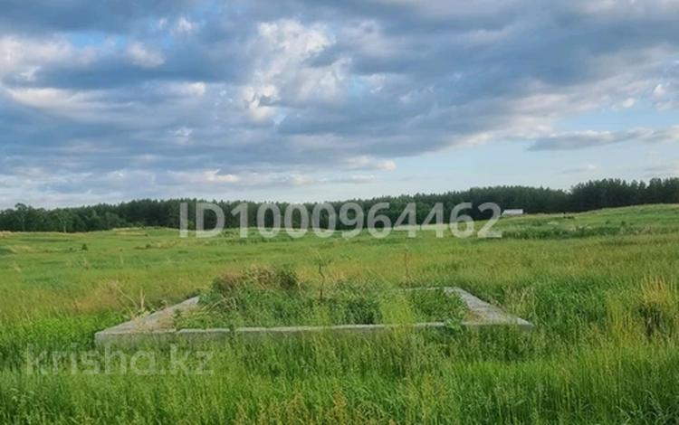 Участок · 10 соток, Мерей 31 за 3.5 млн 〒 в Зеленом бору — фото 3