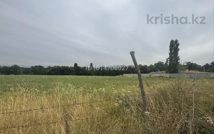 Участок · 6 соток, Верхняя трасса — Элен парк за 12 млн ₸ в Каскелене — фото 2