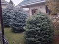 Дом · 6 комнат · 200 м², мкр Нуртас 1103 за 100 000 ₸ в Шымкенте, Каратауский р-н