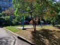 2-комнатная квартира · 56.4 м² · 5/6 этаж, мкр Кулагер за 35.7 млн ₸ в Алматы, Жетысуский р-н — фото 25
