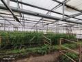 Сельское хозяйство · 660 м² за 15.9 млн ₸ в Актобе, мкр Жилгородок — фото 2