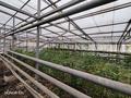 Сельское хозяйство · 660 м² за 15.9 млн ₸ в Актобе, мкр Жилгородок — фото 4