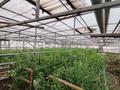 Сельское хозяйство · 660 м² за 15.9 млн ₸ в Актобе, мкр Жилгородок