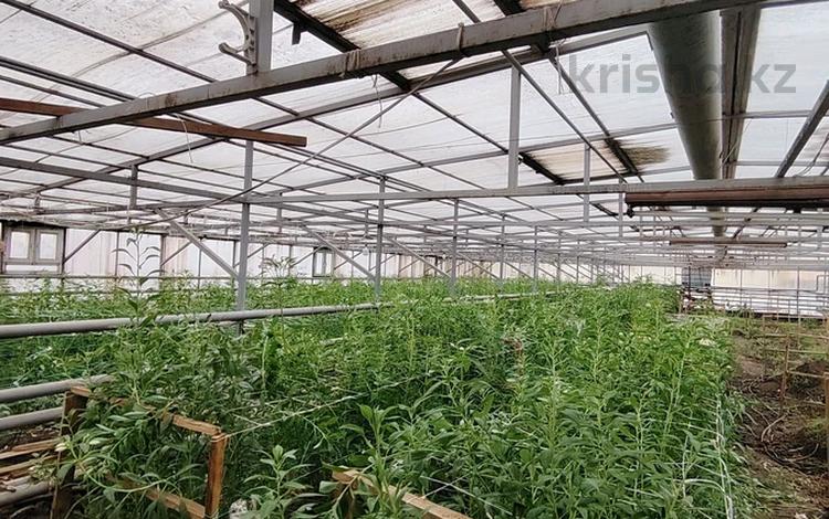Сельское хозяйство · 660 м² за 15.9 млн ₸ в Актобе, мкр Жилгородок — фото 6