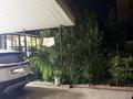 Отдельный дом · 5 комнат · 153.3 м² · 4.5 сот., мкр Нуршашкан (Колхозши) — Дүлдүл за 98 млн ₸ в Алматы, Турксибский р-н — фото 20