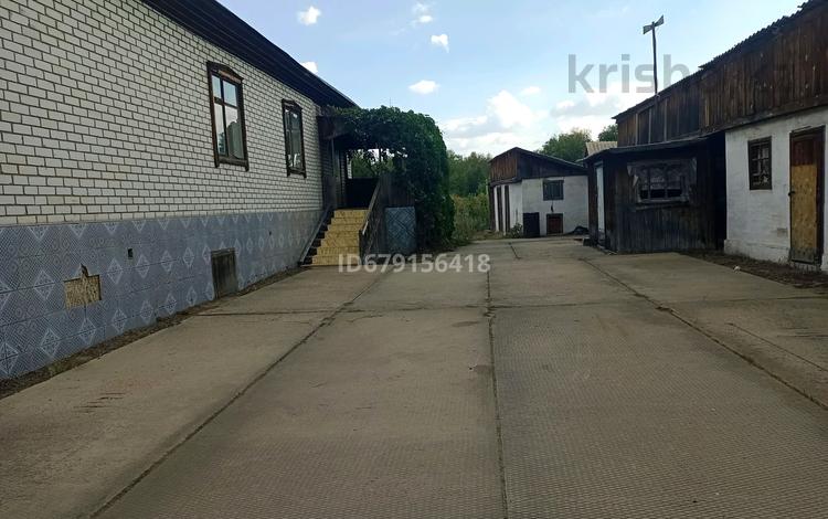 Отдельный дом · 5 комнат · 308 м² · 12 сот., Ул.Центральная 36А — Поворт на улицу, напротив рыбной лавки за 39 млн 〒 в Семее, Красный Кордон — фото 28