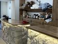 Готовый бизнес · 60 м² за 6 млн ₸ в Семее