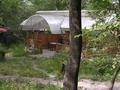 Общепит · 1000 м² за 500 000 ₸ в Алматы, Бостандыкский р-н — фото 6