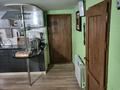 Жеке үй · 5 бөлме · 132 м² · 6.8 жүзд., Орджоникидзе 100, бағасы: 125 млн ₸ в Алматы, Турксибский р-н — фото 45