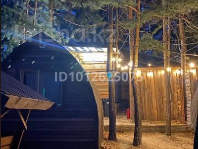 Жеке үй · 1 бөлме · 10 м², Зеленая 11 — Посёлок щучинский санаторий, бағасы: 20 000 ₸ в Бурабае