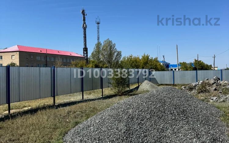 Участок · 15 соток, Пацаева 12 за 11.5 млн ₸ в Бадамше — фото 6