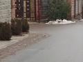 Жер телімі · 5 сотық, Толе би, бағасы: 24 млн ₸ в Иргели — фото 3
