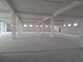 Свободное назначение, офисы · 2532 м² за 8.5 млн ₸ в Шымкенте, Каратауский р-н — фото 6