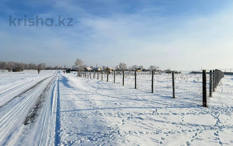 Жер телімі · 40 сотық, Гвоздичная 10, бағасы: 22 млн ₸ в Щучинске — фото 5