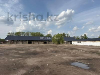 Промбаза · 189 соток, Еламан Кабылдаев 90 е за 355 млн ₸ в Аскара Токпанова (Казцик)
