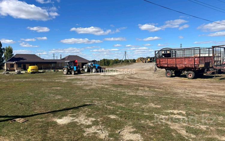 Ауыл шаруашылығы · 3300 м², бағасы: 900 млн 〒 в Софиевке — фото 4