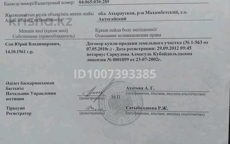 Участок · 200 га, Махамбета — Вдоль трассы за 45 млн 〒 — фото 2