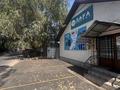 Промбаза · 12 соток, Бродского 173 за 680 млн ₸ в Алматы, Жетысуский р-н — фото 9