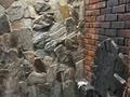 Отдельный дом · 3 комнаты · 48.4 м² · 6 сот., Башикова 89 за 15.5 млн 〒 в Усть-Каменогорске, Ульбинский — фото 22