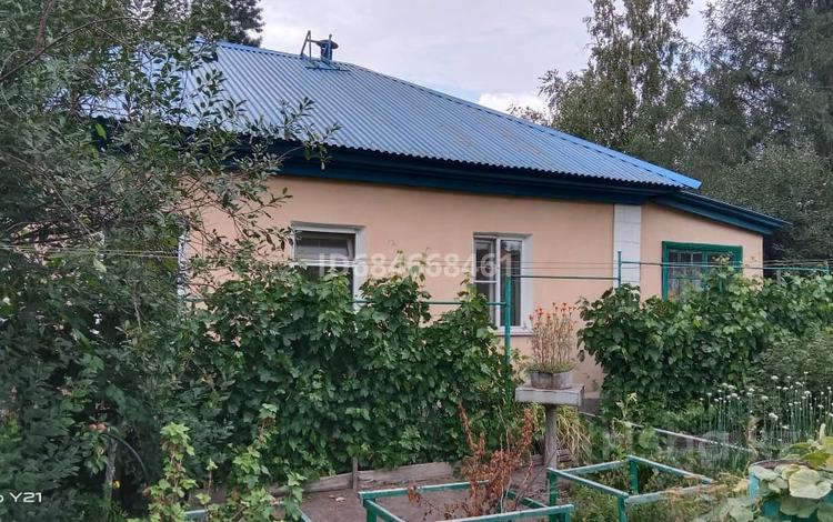 Отдельный дом · 3 комнаты · 48.4 м² · 6 сот., Башикова 89 за 15.5 млн 〒 в Усть-Каменогорске, Ульбинский — фото 37