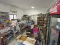 Магазины и бутики • 48 м² за 35 млн 〒 в Шымкенте, Аль-Фарабийский р-н — фото 16