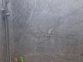 2-комнатная квартира · 57 м² · 5/9 этаж, Микрорайон Энергетик 13 — Рынок Северный за 24.5 млн ₸ в Семее — фото 9