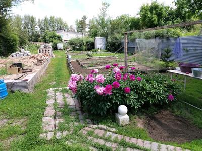 Продажа Дач Астана