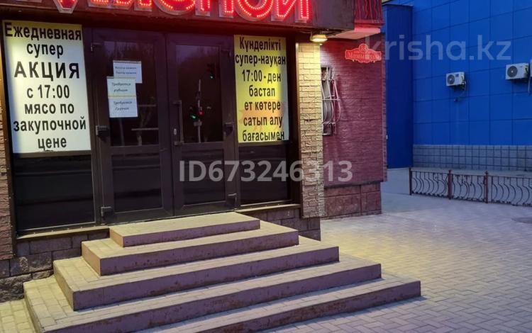 Магазины и бутики · 185 м² за 95 млн ₸ в Темиртау — фото 13