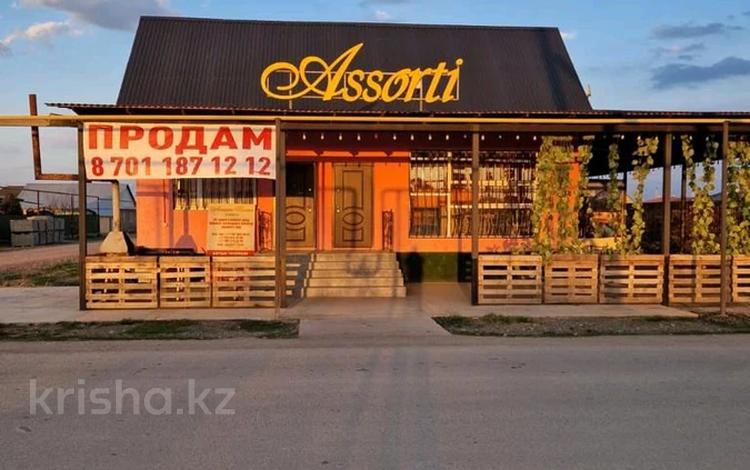 Общепит · 170 м² за 42 млн ₸ в Исаеве — фото 2