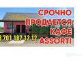 Общепит · 170 м² за 42 млн ₸ в Исаеве — фото 9