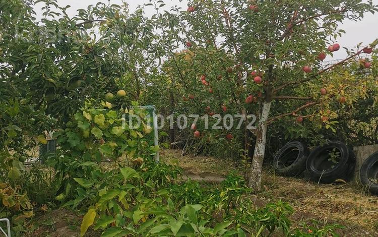 Саяжай · 2 бөлме · 30 м² · 8 жүзд., Нет — Дальше Алмалов, бағасы: 6 млн ₸ в Алмалы — фото 2