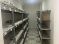 Свободное назначение, офисы, магазины и бутики, медцентры и аптеки · 295 м² за 135 млн ₸ в Астане, Алматы р-н — фото 7