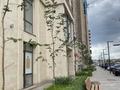 5-бөлмелі пәтер · 182 м² · 7/10 қабат, мкр Юго-Восток, ЖК Байсанат-1, микрорайон Байкена Ашимова 13, бағасы: 205 млн ₸ в Караганде, Казыбек би р-н — фото 3