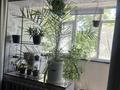 1-бөлмелі пәтер · 28 м² · 3/4 қабат, Курманбекова 3 — Больница Роща, бағасы: 16 млн ₸ в Шымкенте, Туран р-н — фото 12