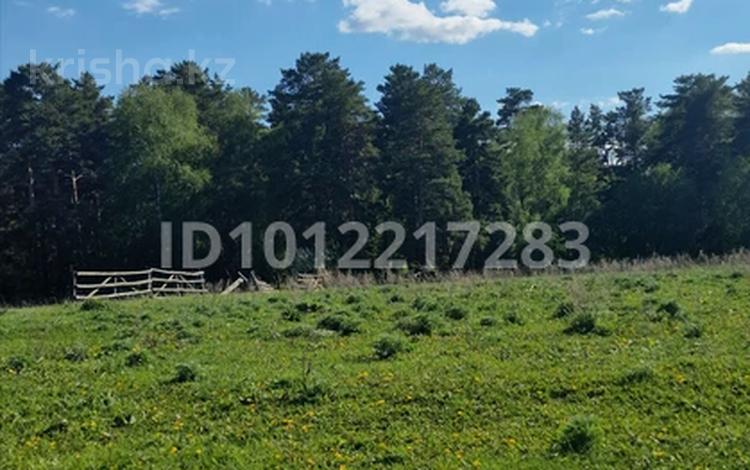 Отдельный дом · 2 комнаты · 50 м² · 62 сот., Лесная 22 — Акмолинская обл., район Биржан Сал, Ульгинский с.о., село Трамбовка за 7.9 млн ₸ в  — фото 39