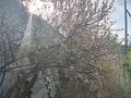 Дача · 2 комнаты · 25 м² · 10 сот., Вязовая 14 за 2 млн ₸ в Жезказгане — фото 2
