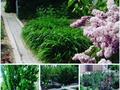 Отдельный дом · 8 комнат · 400 м² · 10 сот., Мира за 80 млн ₸ в Атырау — фото 7