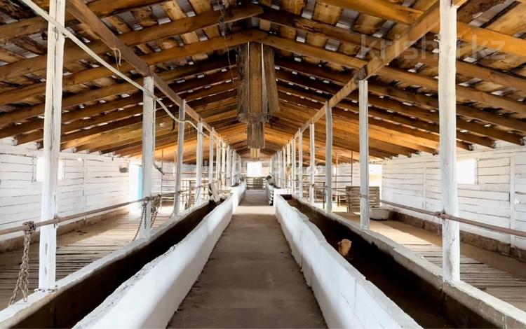 Отдельный дом · 4 комнаты · 45 м² · 45 сот., Жыра за 110 млн 〒 в Семее — фото 3