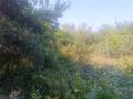 Участок · 80 соток, мкр Нур Алатау за 800 млн ₸ в Алматы, Бостандыкский р-н — фото 4
