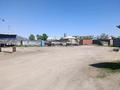 Еркін · 160 м², бағасы: 160 000 ₸ в Шымкенте, Енбекшинский р-н — фото 4