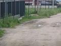 Участок · 6 соток, Бельбулак (Мичурино) за 13 млн 〒 — фото 5