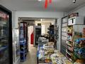 Магазины и бутики • 54 м² за 25.1 млн 〒 в Актобе, мкр 11 — фото 8