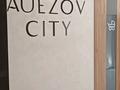 1-комнатная квартира · 33 м² · 12/12 этаж, Райымбека 210 за 250 000 ₸ в Алматы, Алмалинский р-н — фото 11
