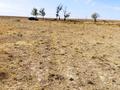 Участок · 24 сотки, мкр Восток 66 за 60 млн ₸ в Шымкенте, Аль-Фарабийский р-н — фото 9