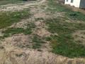 Жер телімі 5 сотық, Абрикосовая 16, бағасы: 1.5 млн 〒 в Конаеве (Капчагай) — фото 3