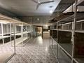 Склады · 800 м² за 600 000 ₸ в Шымкенте, Туран р-н — фото 10