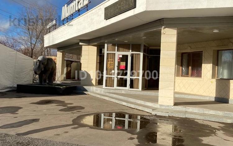 Общепит · 1200 м² за 5.5 млн ₸ в Астане — фото 2