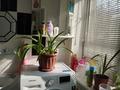 Саяжай · 2 бөлме · 64 м² · 6 жүзд., С/оАвтомобилист 101 — Верхняя трасса, бағасы: 27 млн ₸ в Каскелене — фото 37