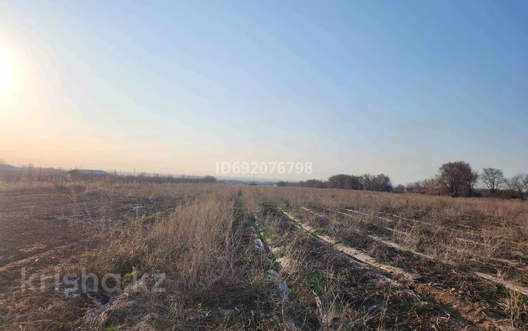 Ауыл шаруашылығы • 54000 м², бағасы: 180 000 〒 в Талгаре — фото 2